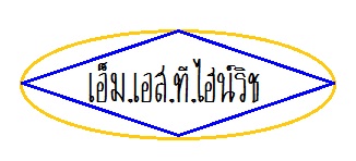 บริษัท เอ็ม.เอส.ที.ไฮน์ริช จำกัด