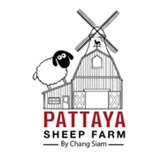 Pattaya Sheep Farm